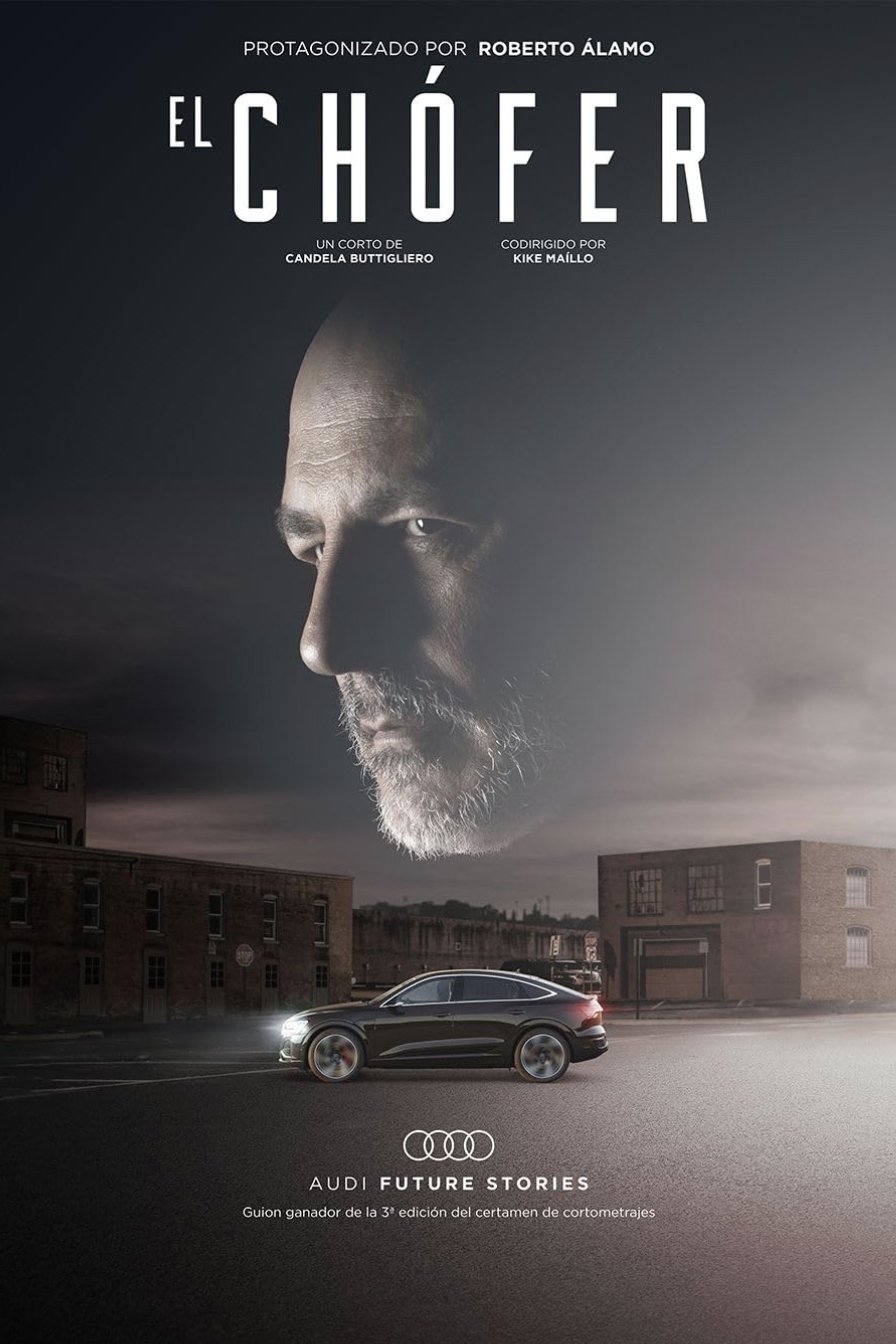 The Driver - Bild 1 von 3