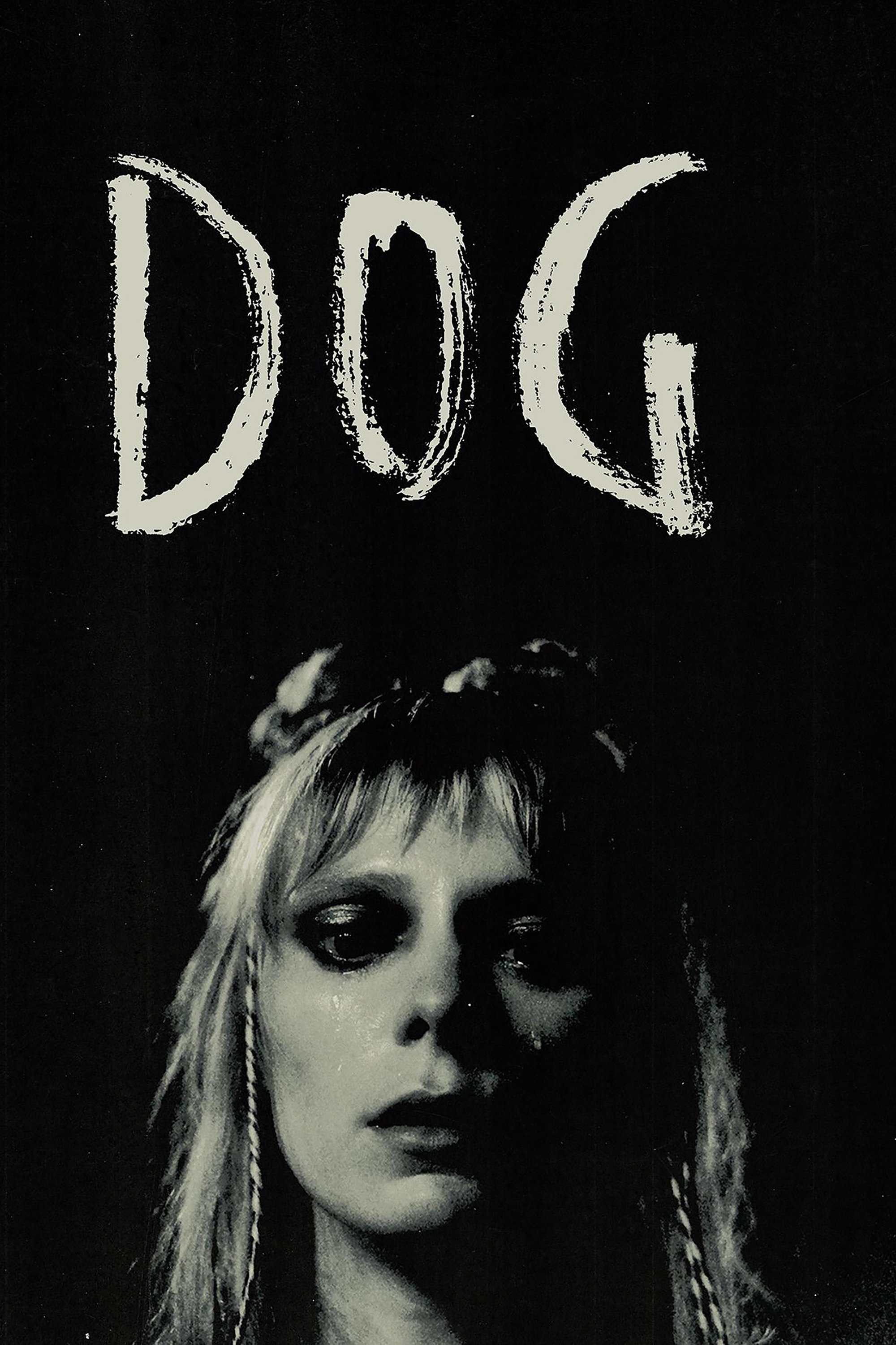 Dog - Bild 1 von 12