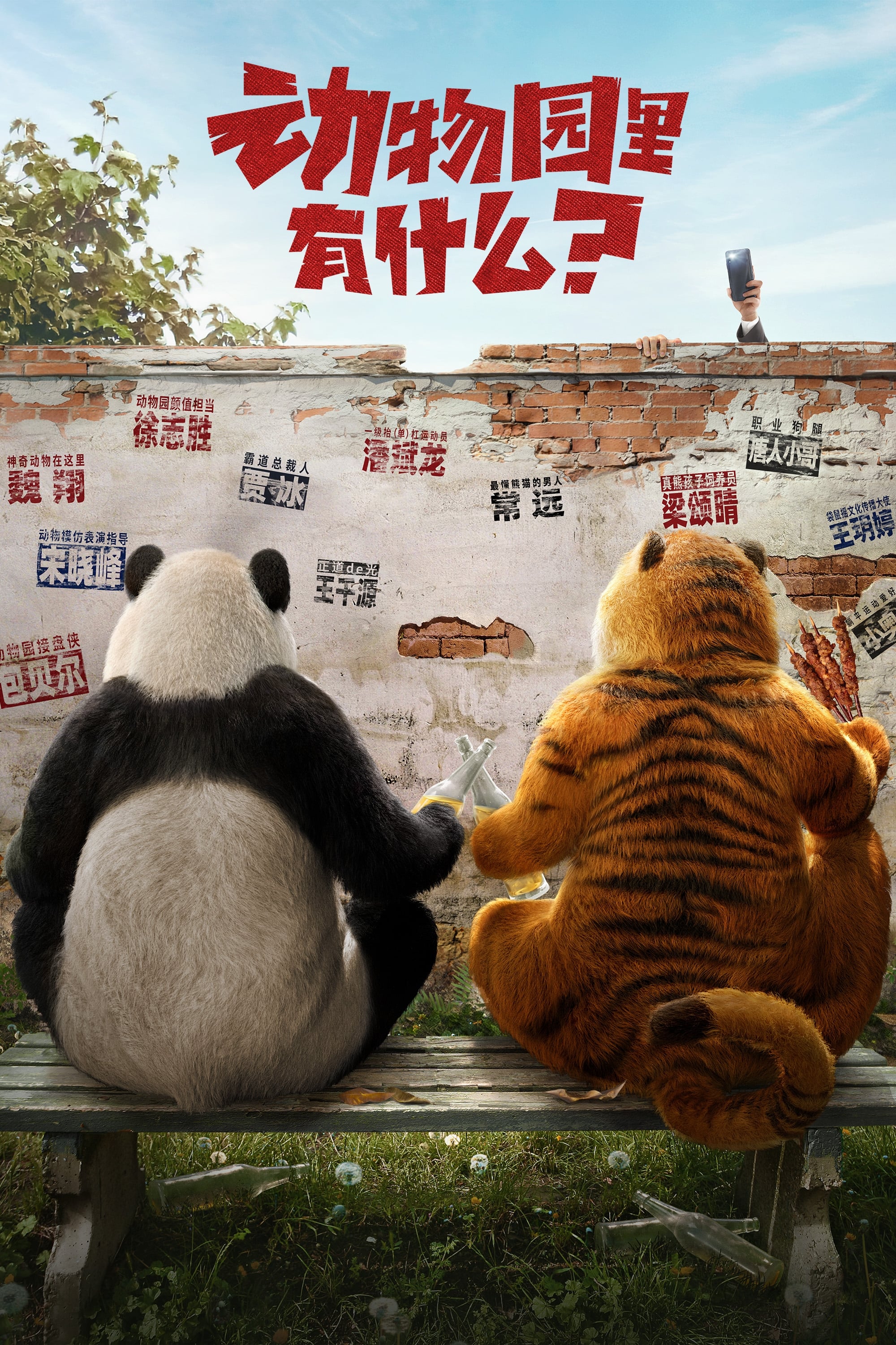 Follow Bear to Adventure - Bild 1 von 11