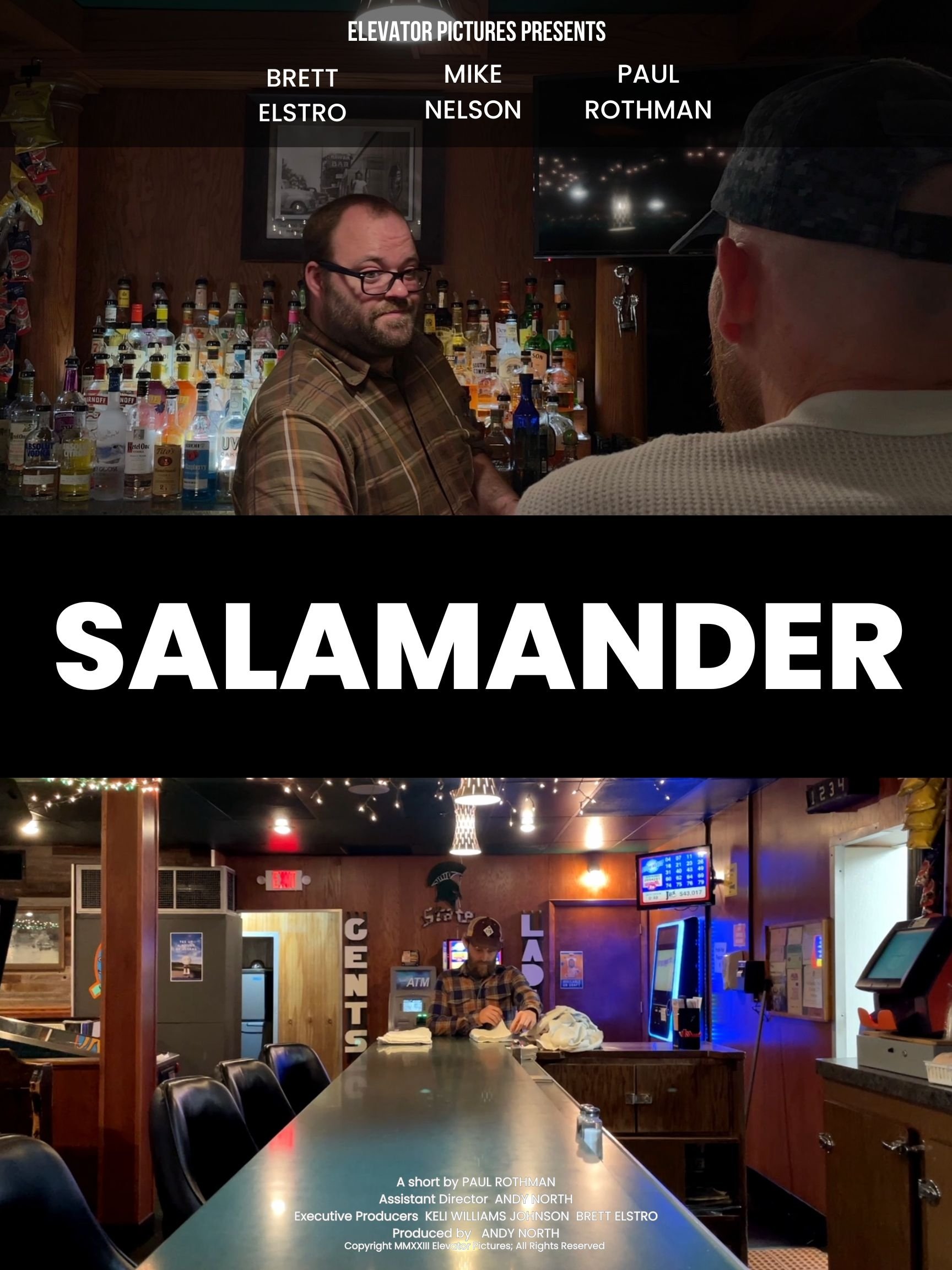 Salamander - Bild 1 von 3
