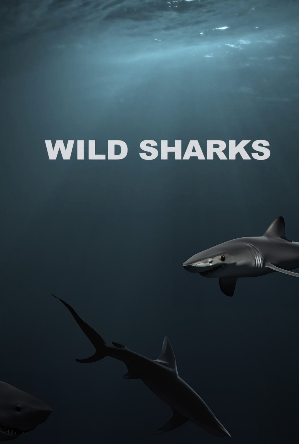 Wild Sharks - Bild 1 von 2