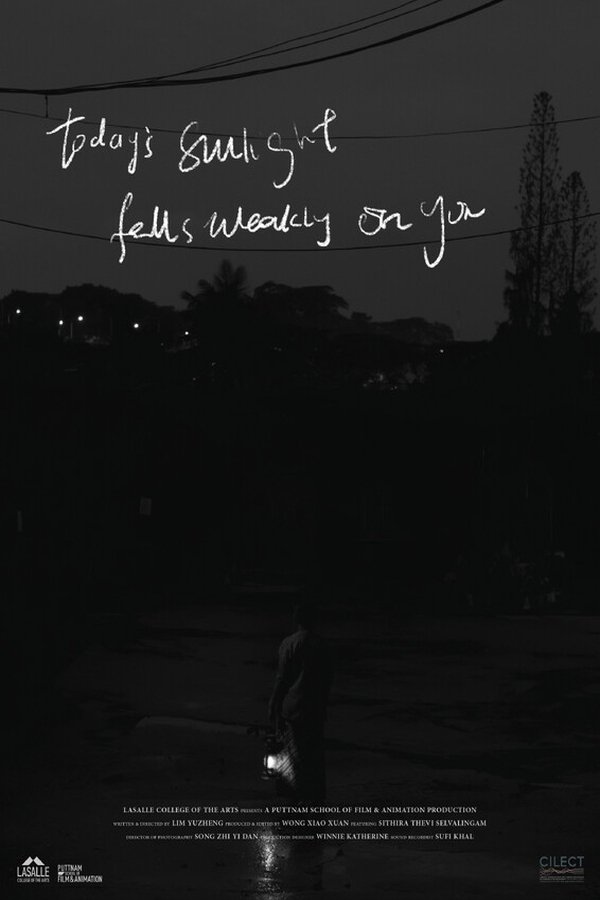 Today's Sunlight Falls Weakly on You - Bild 1 von 2