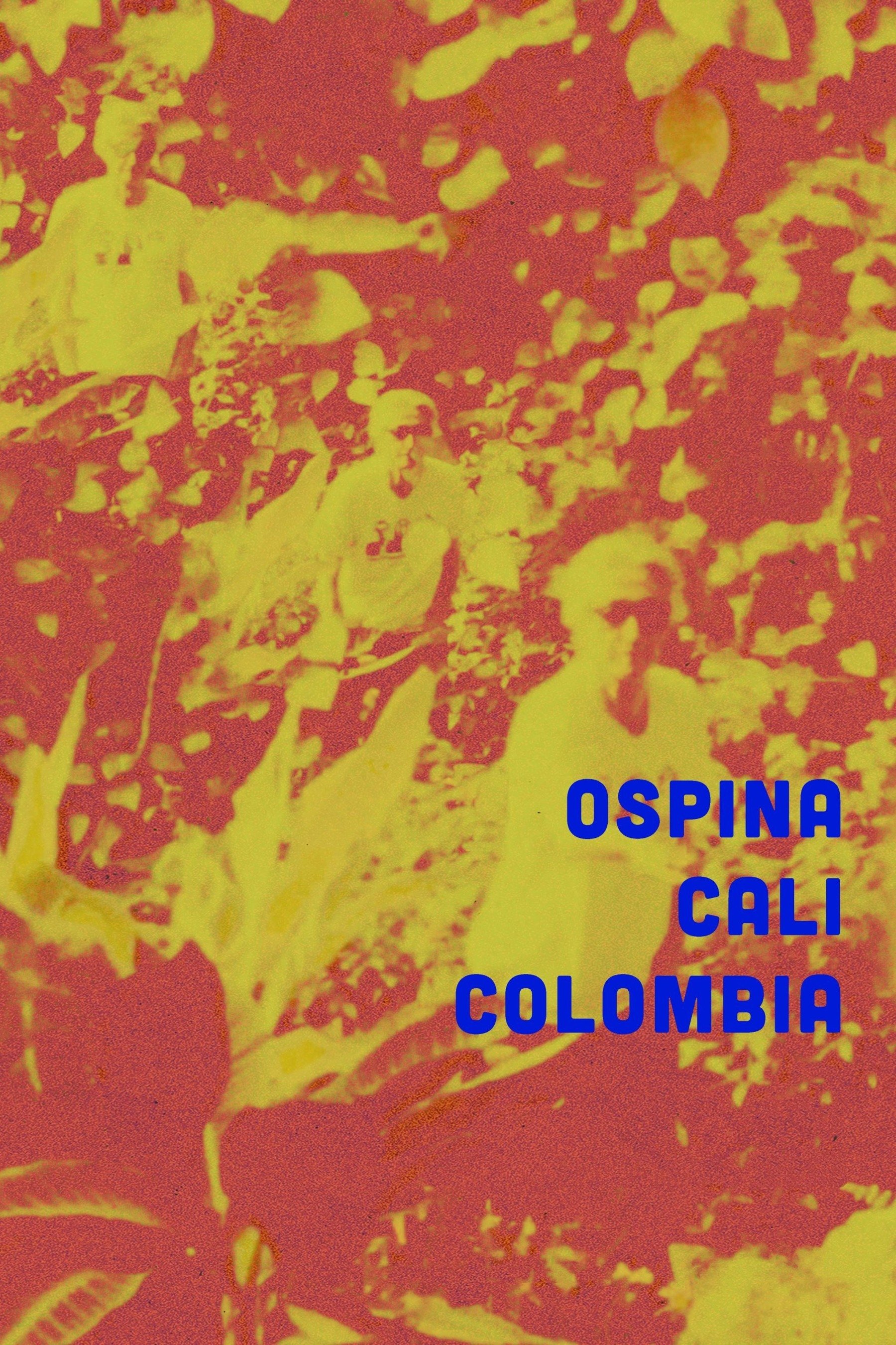 Ospina Cali Colombia - Bild 1 von 3