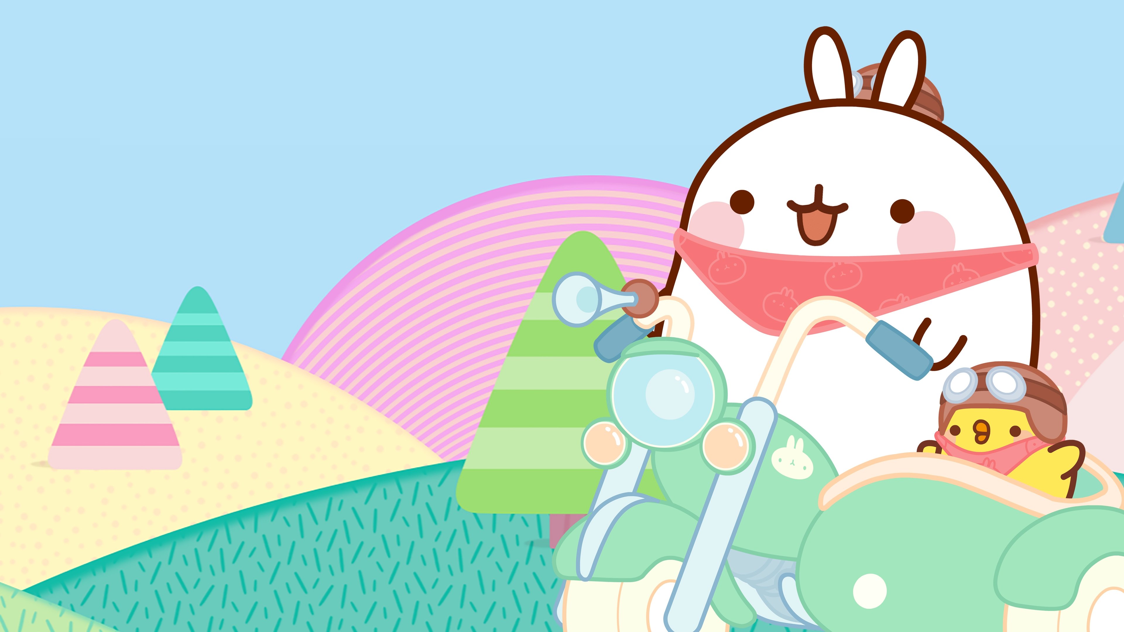 Thumbnail 2 von 4
