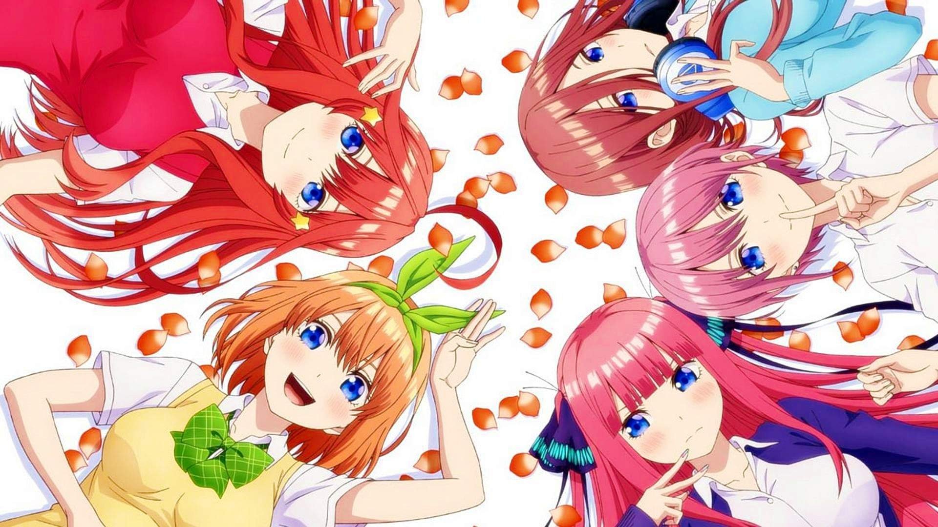 Thumbnail 10 von 11