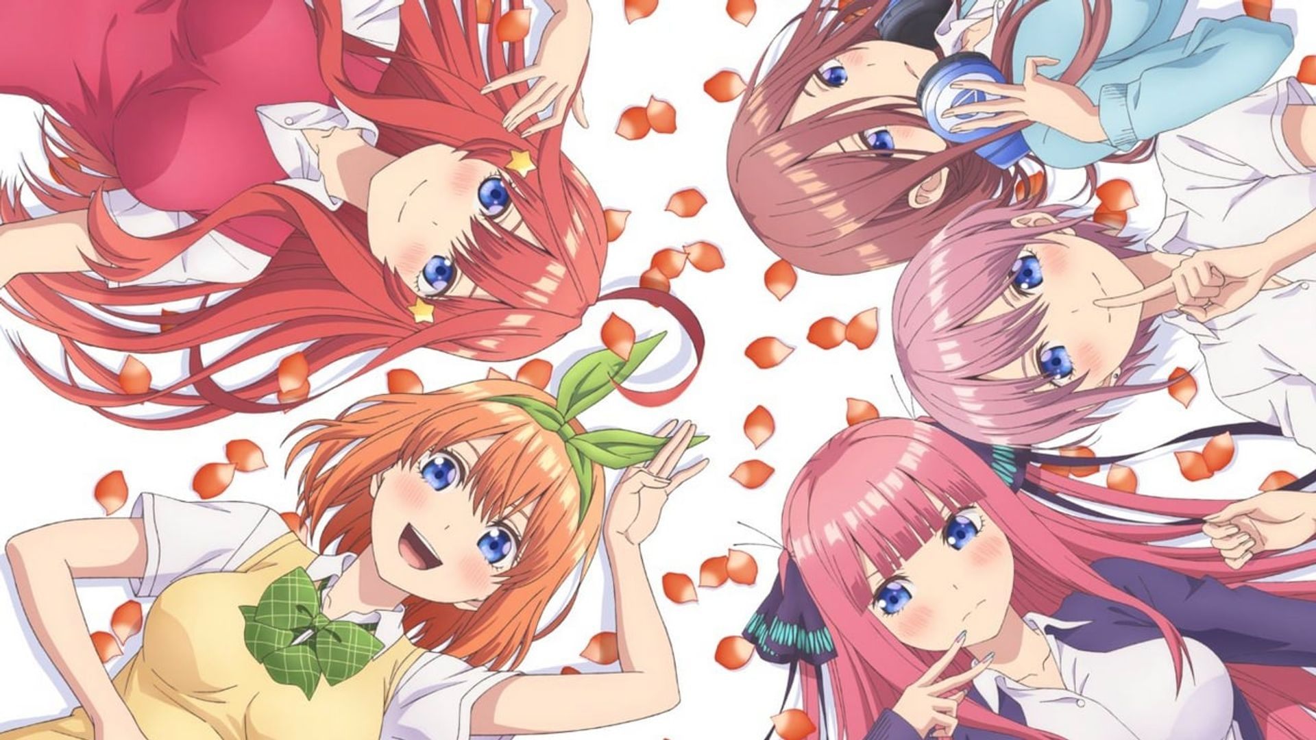 Thumbnail 5 von 11