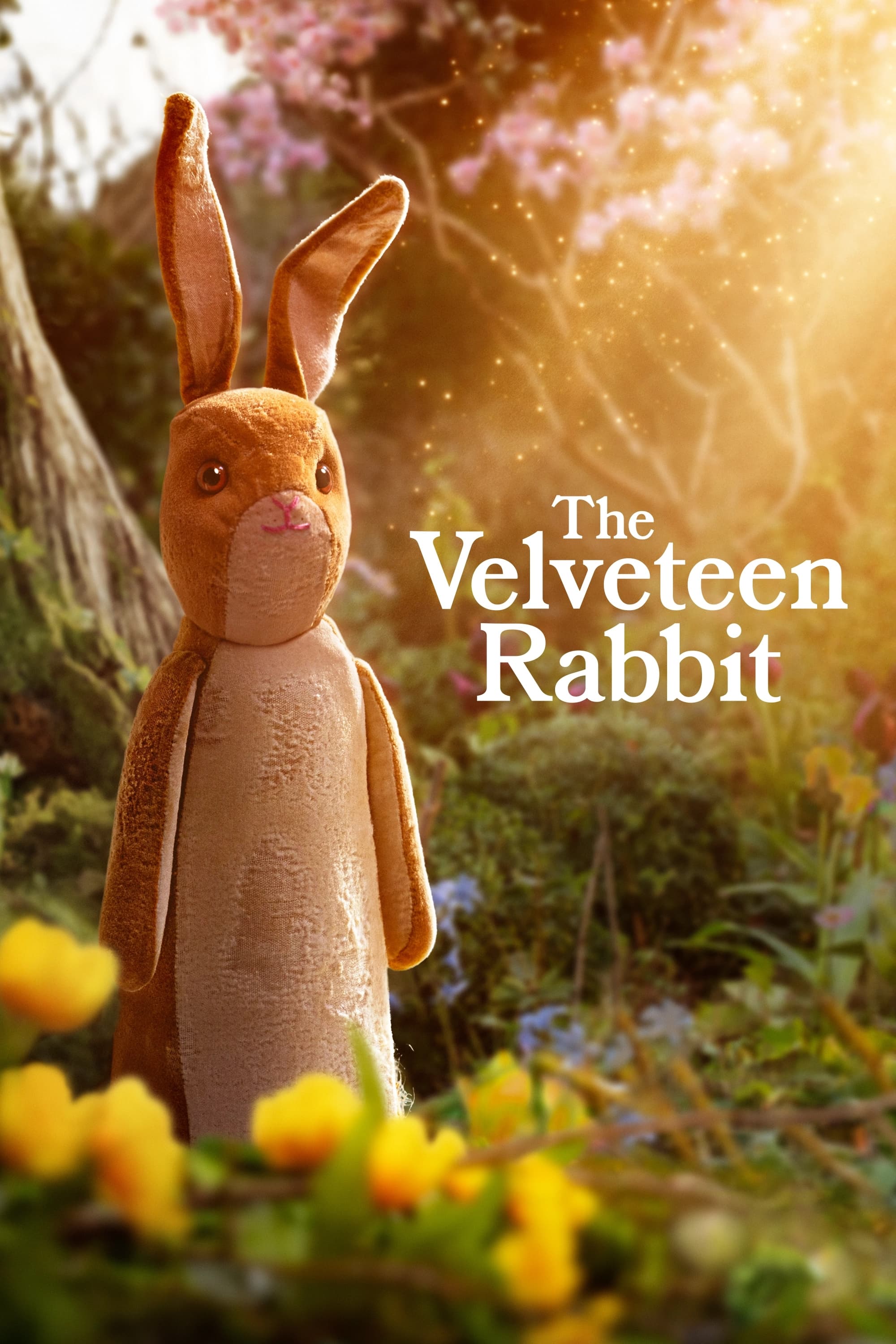 The Velveteen Rabbit - Bild 1 von 15