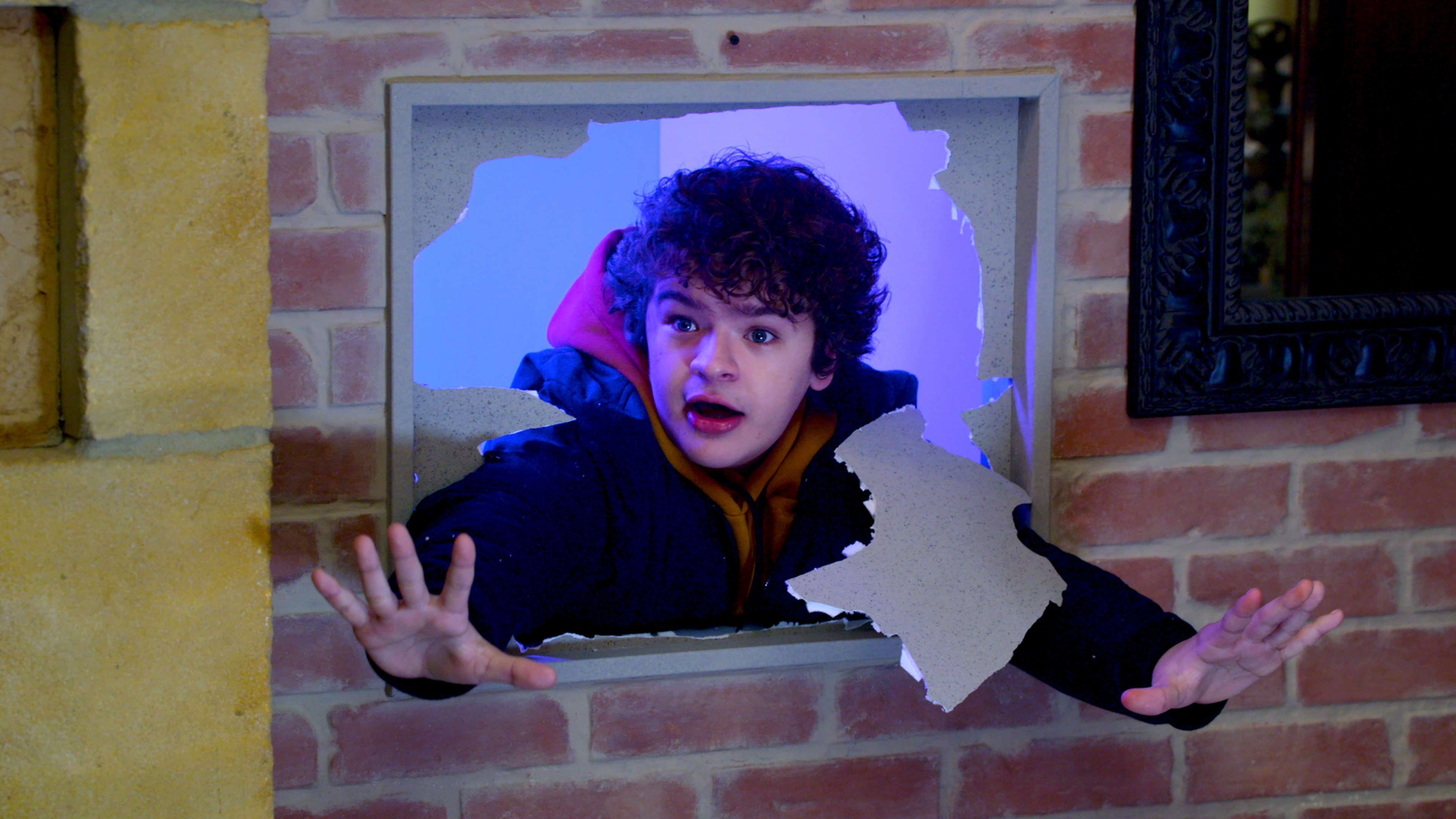 Thumbnail 13 von 13