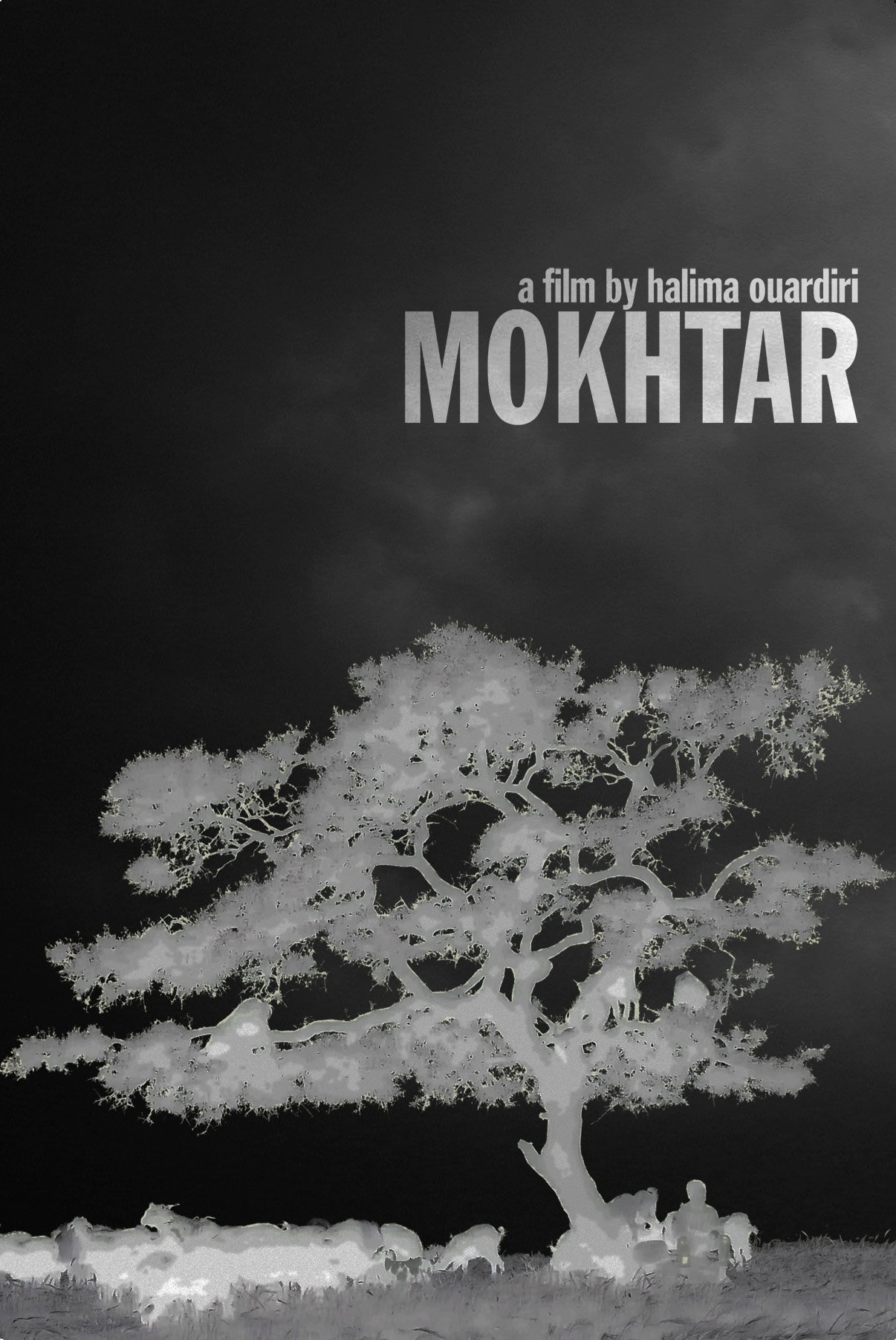 Mokhtar - Bild 1 von 3