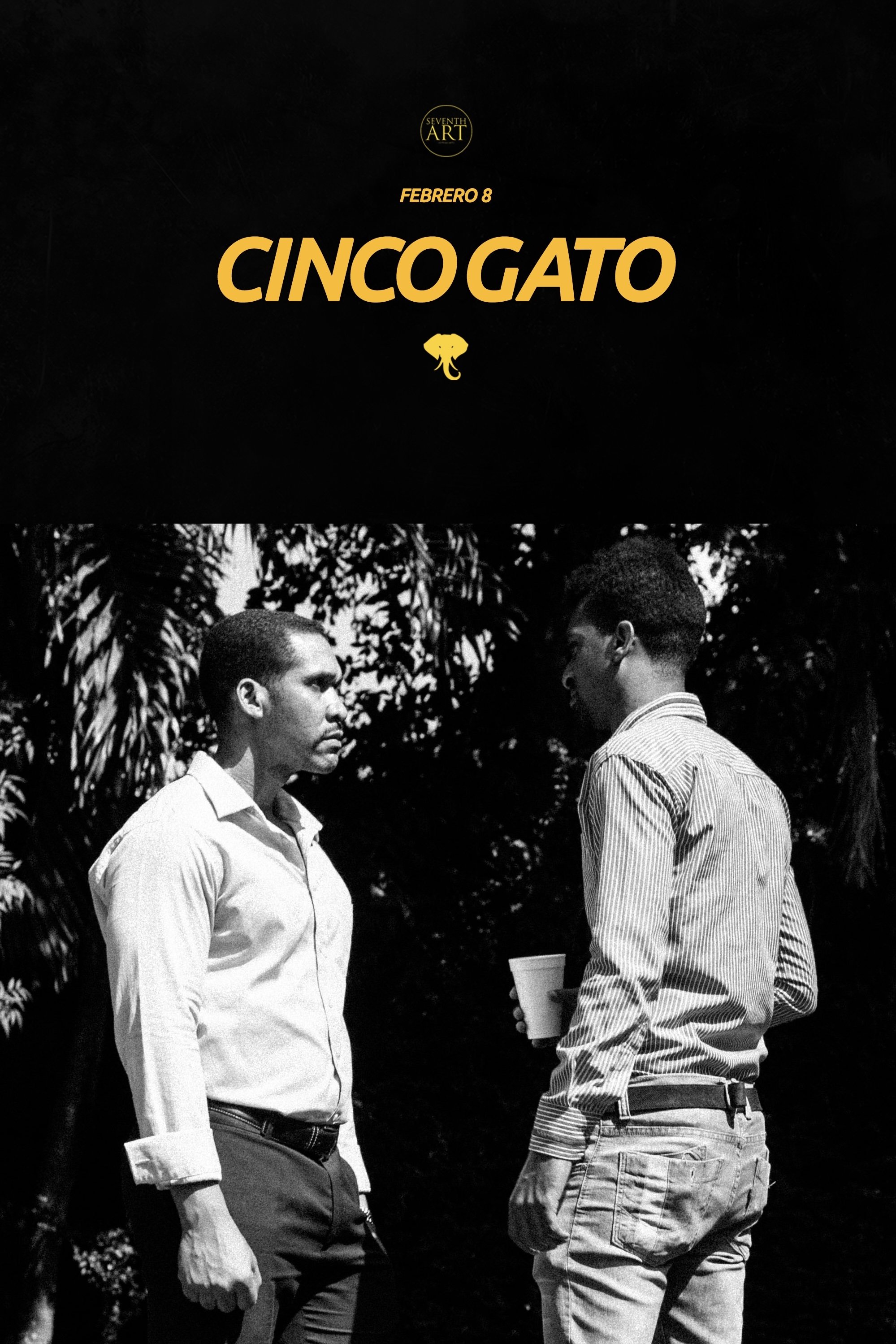Cinco Gato - Bild 1 von 3