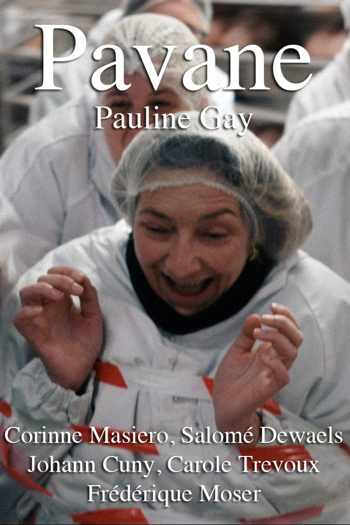 Pavane - Bild 1 von 4