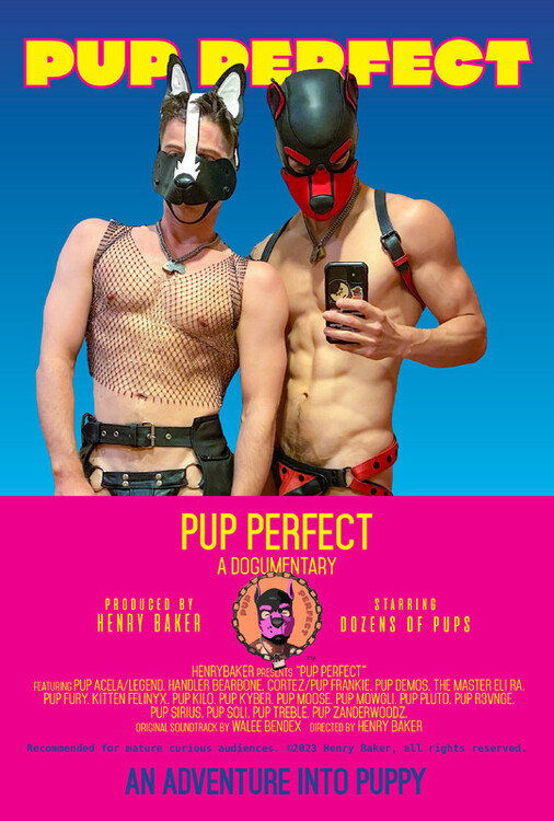 Pup Perfect - Bild 1 von 3