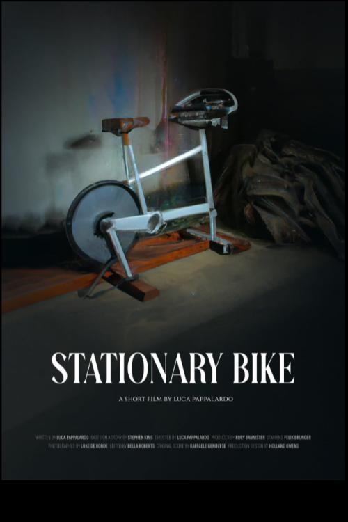 Stationary Bike - Bild 1 von 2
