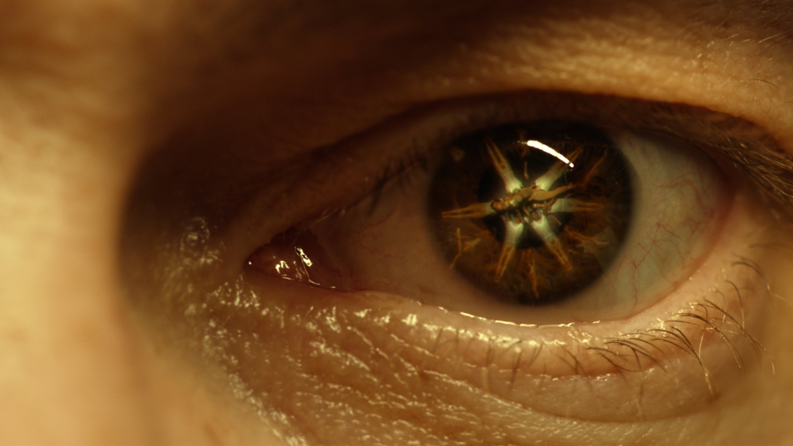 Thumbnail 6 von 6