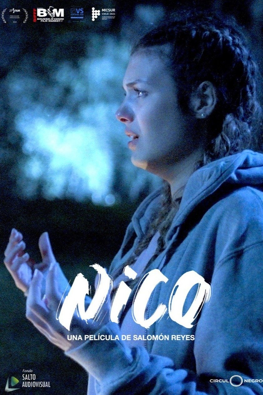 Nico - Bild 1 von 4