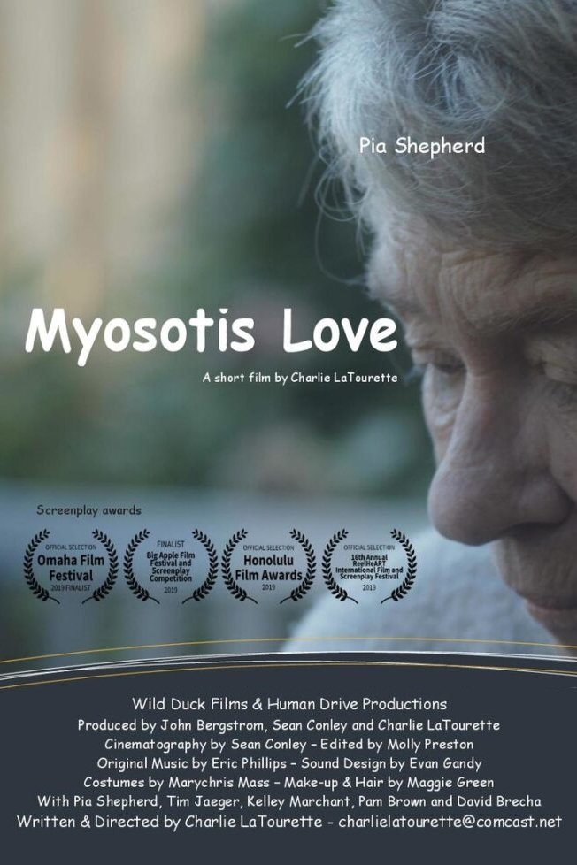 Myosotis Love - Bild 1 von 2