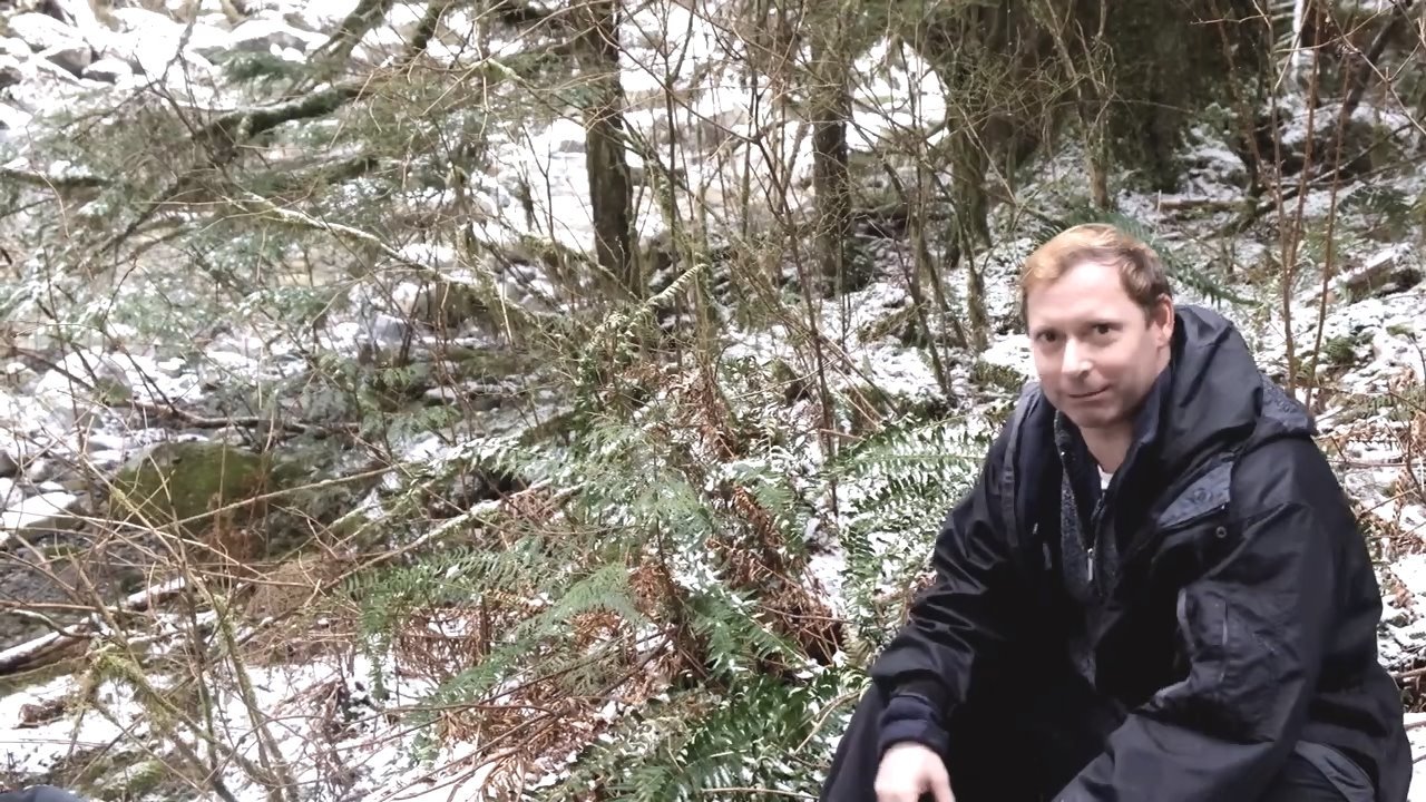 Thumbnail 3 von 3