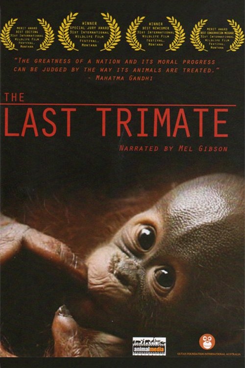 The Last Trimate - Bild 1 von 2