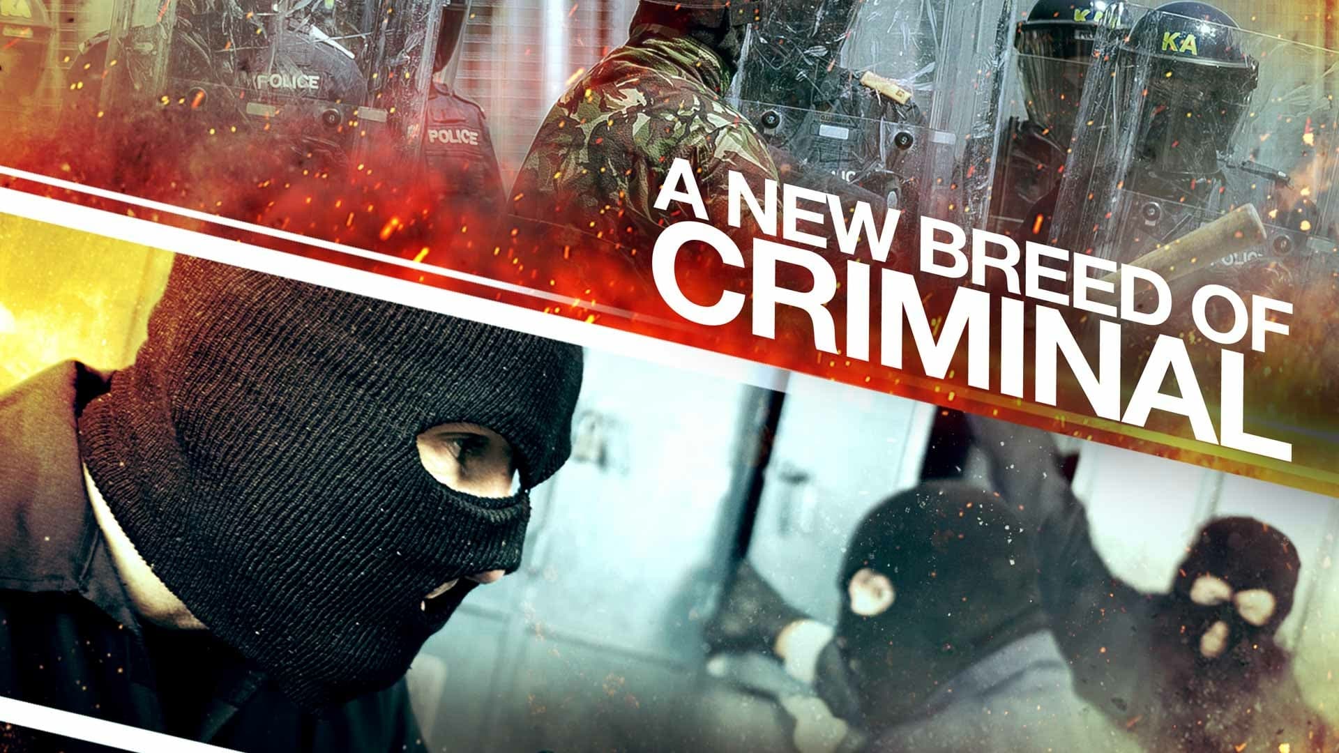 Thumbnail 2 von 6