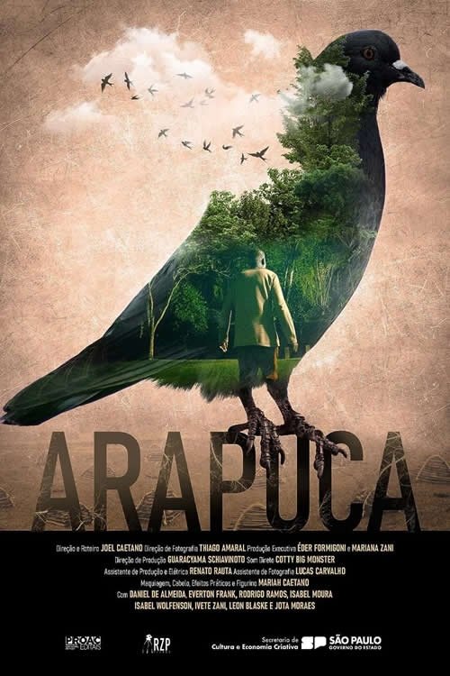 Arapuca - Bild 1 von 3