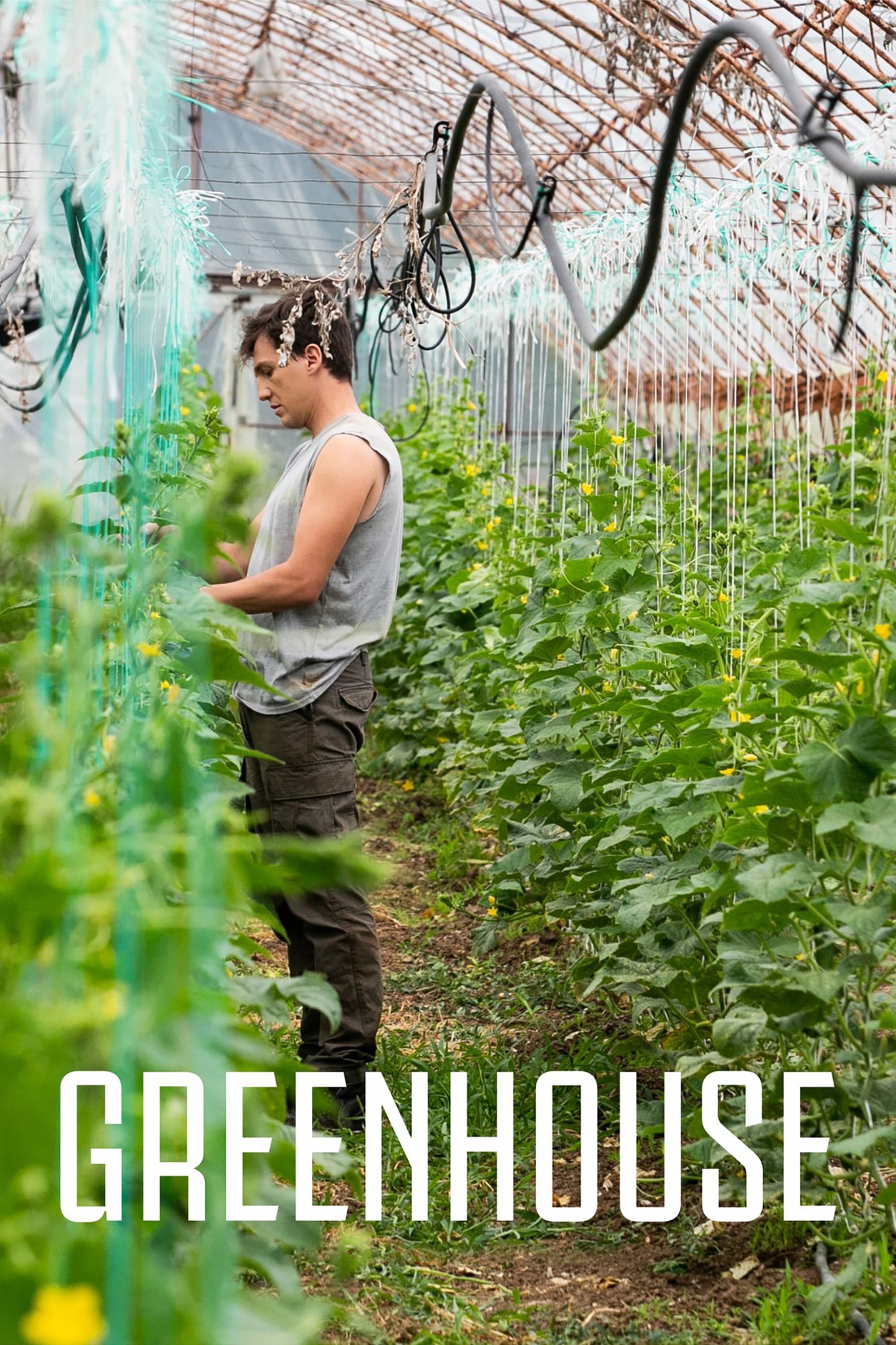 Greenhouse - Bild 1 von 11