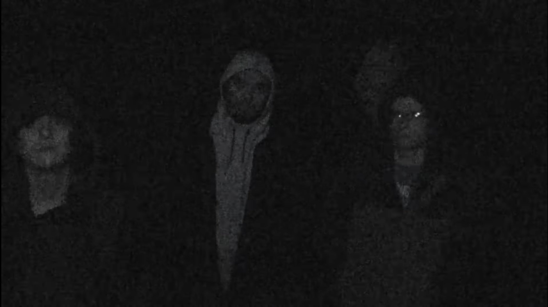 Thumbnail 9 von 11