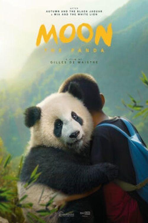 Moon The Panda - Bild 1 von 5