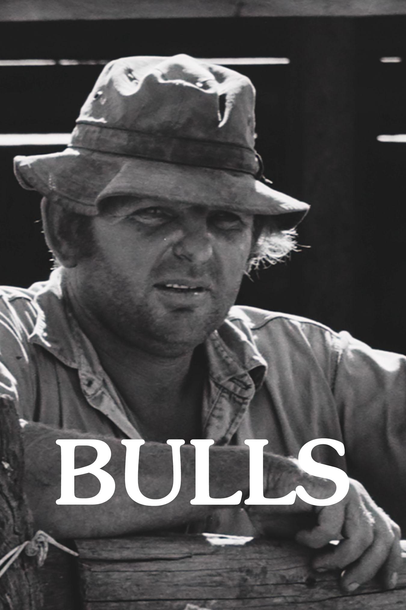 Bulls - Bild 1 von 3