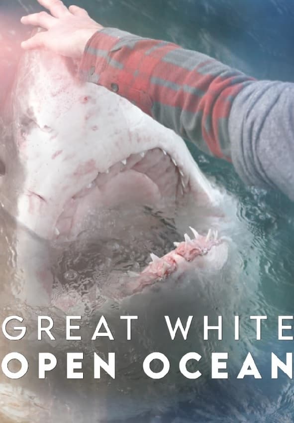 Great White Open Ocean - Bild 1 von 3