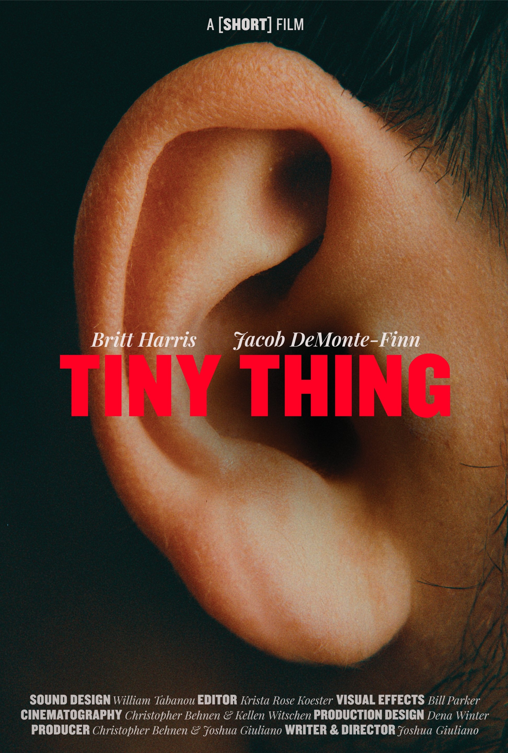 Tiny Thing - Bild 1 von 2