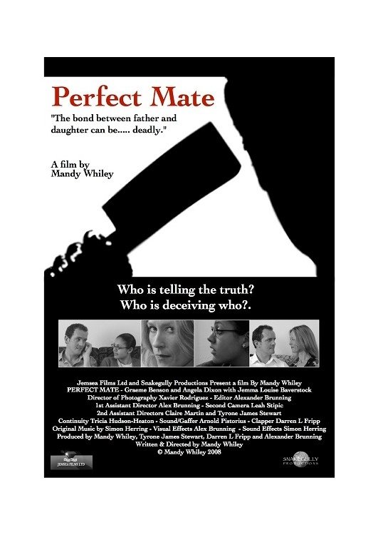 Perfect Mate - Bild 1 von 2