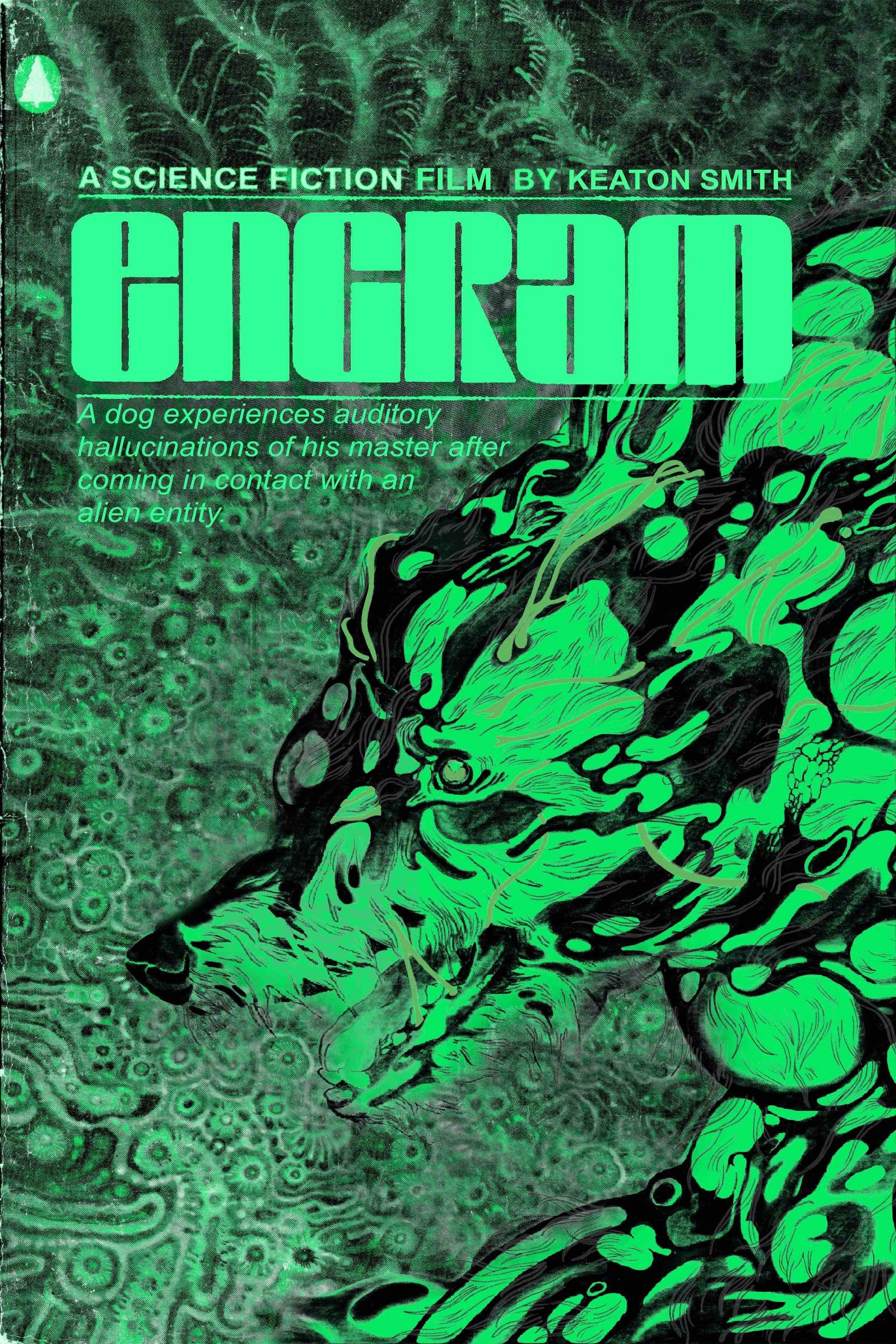Engram - Bild 1 von 3