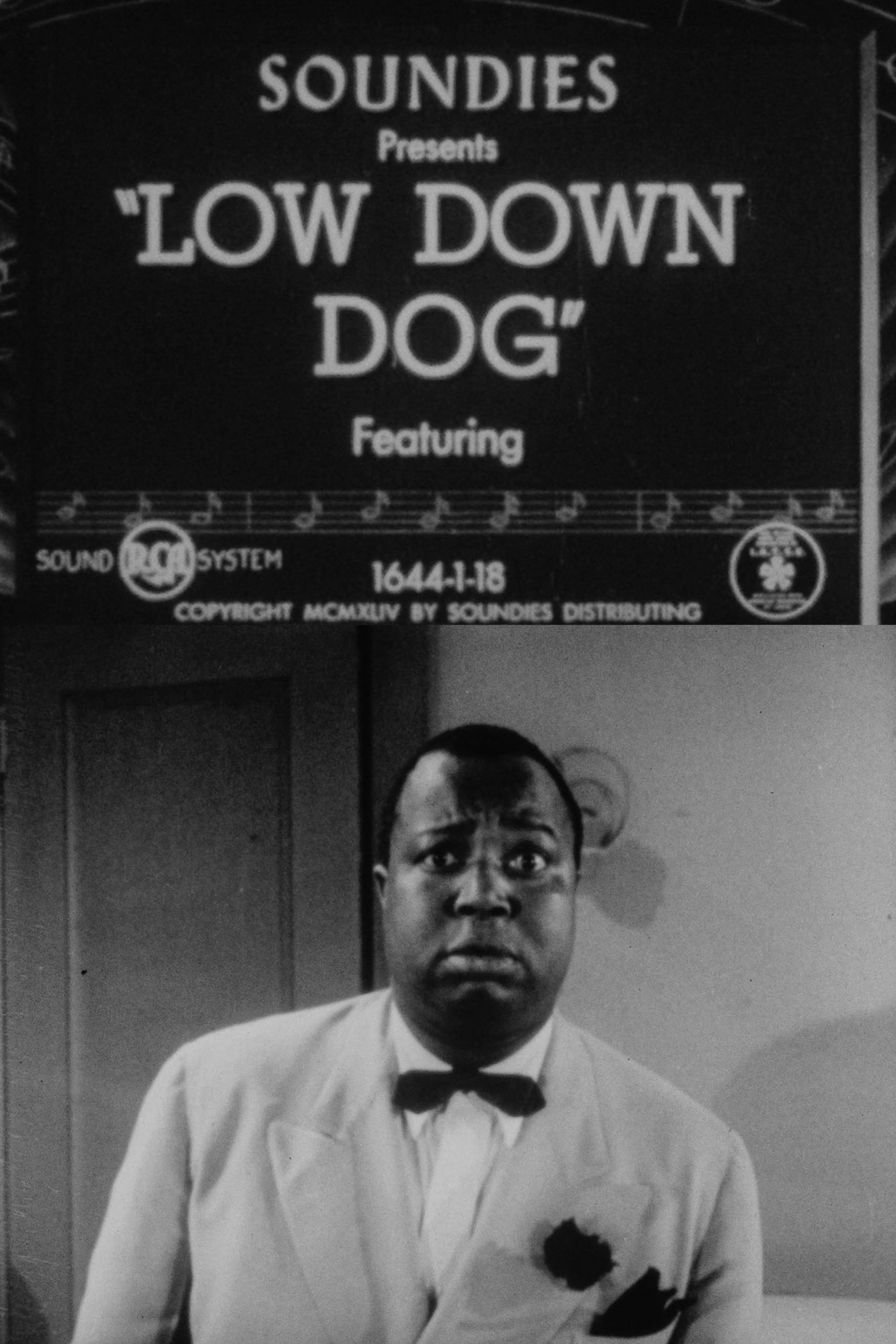 Low Down Dog - Bild 1 von 2