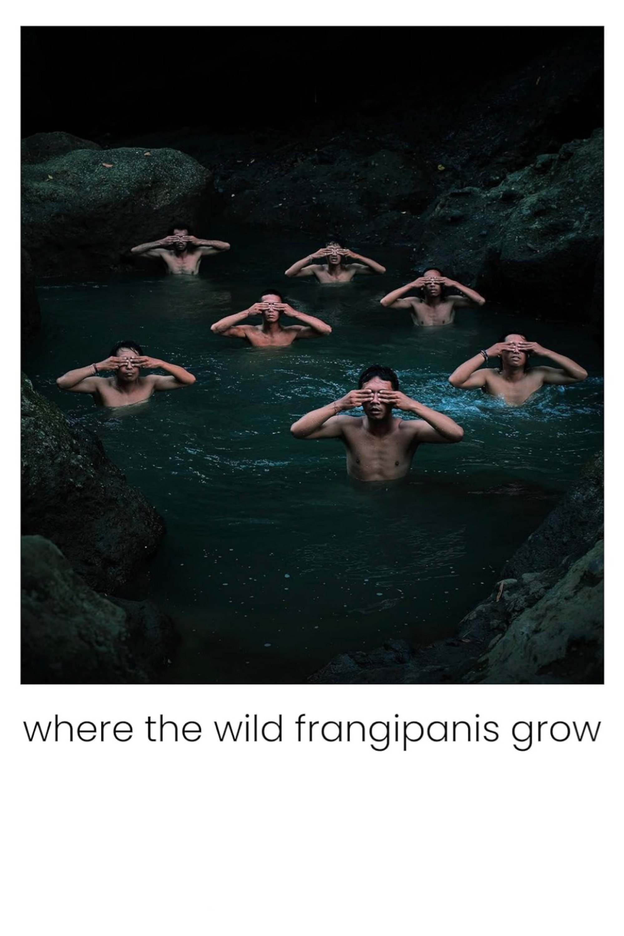 Where the Wild Frangipanis Grow - Bild 1 von 4