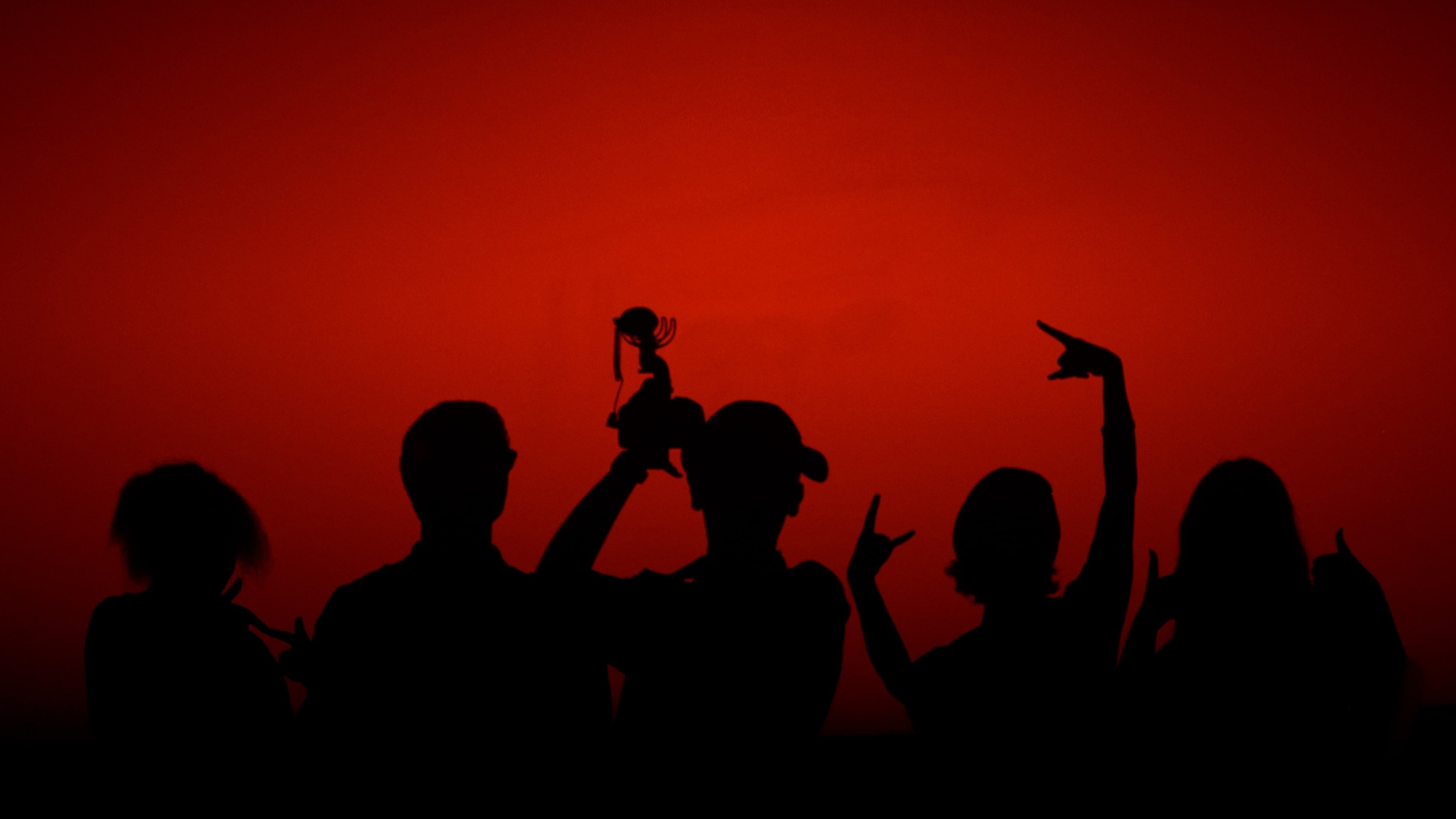 Thumbnail 6 von 10