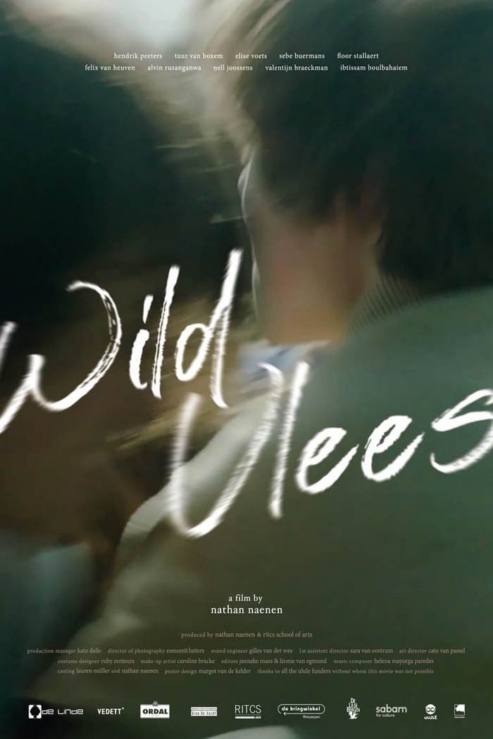 Wild Youth - Bild 1 von 4