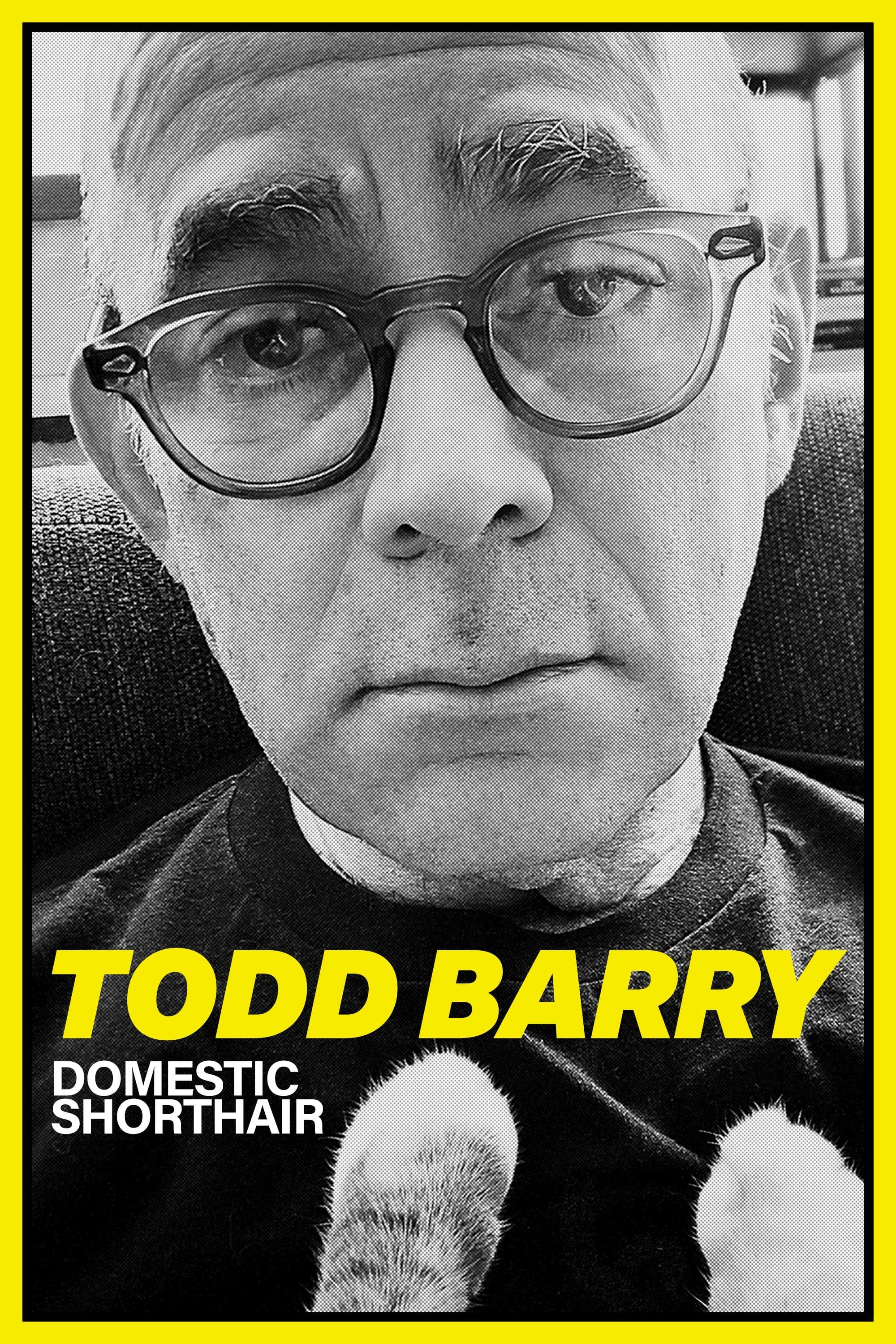 Todd Barry: Domestic Shorthair - Bild 1 von 5