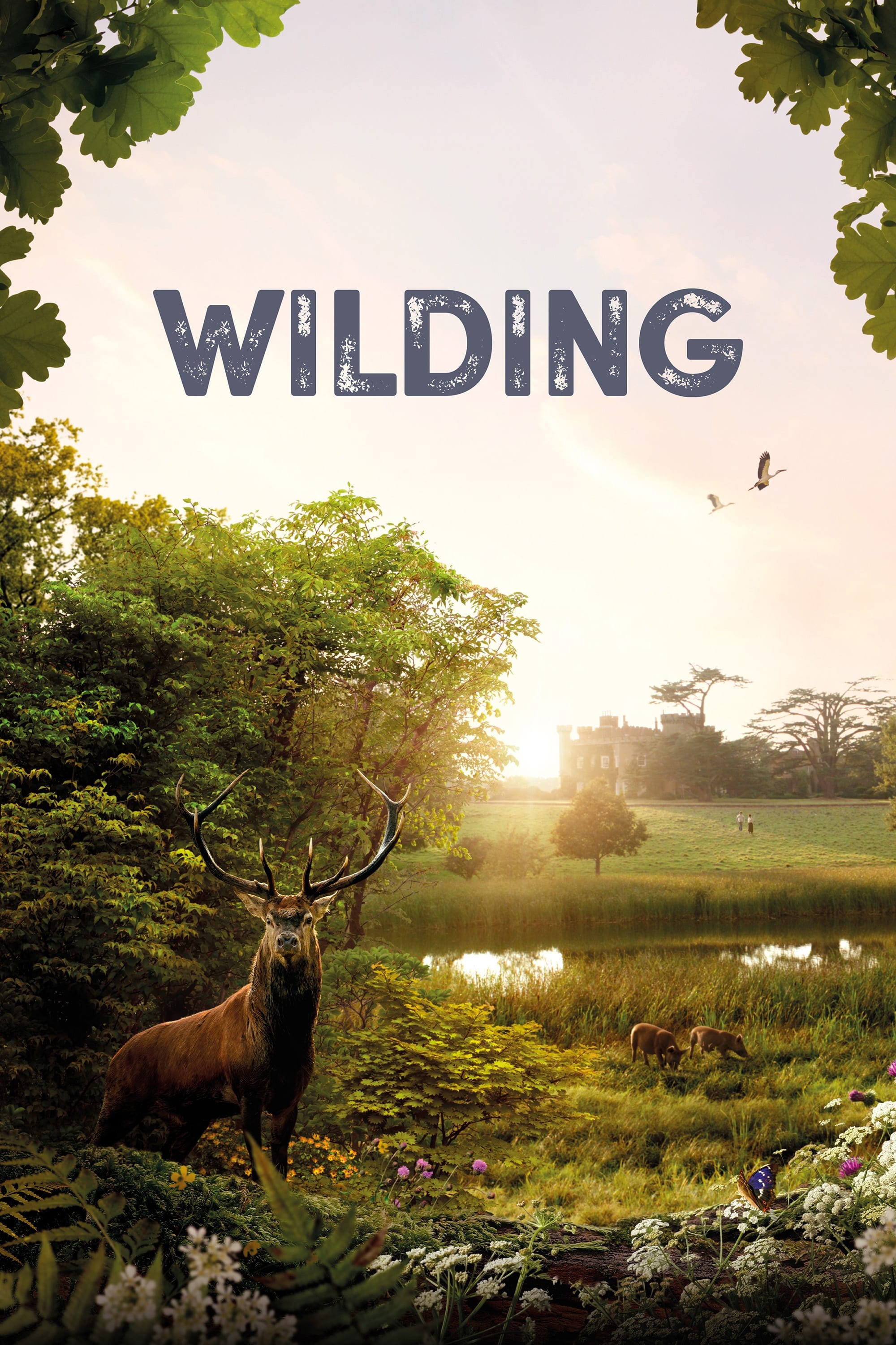 Wilding - Bild 1 von 8