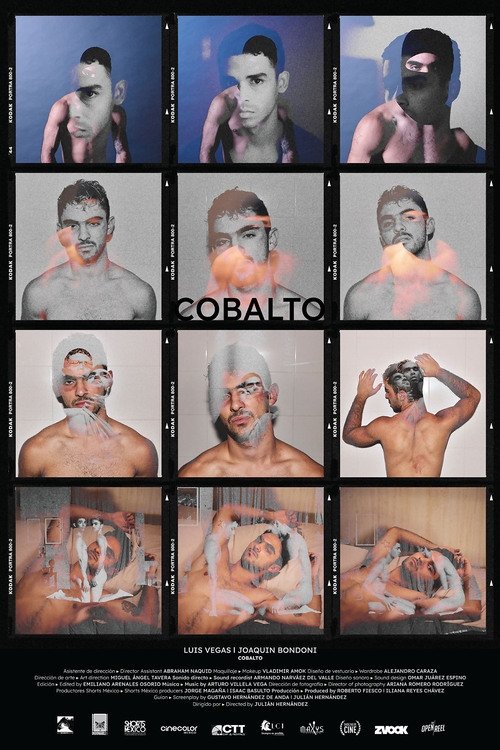 Cobalto - Bild 1 von 4
