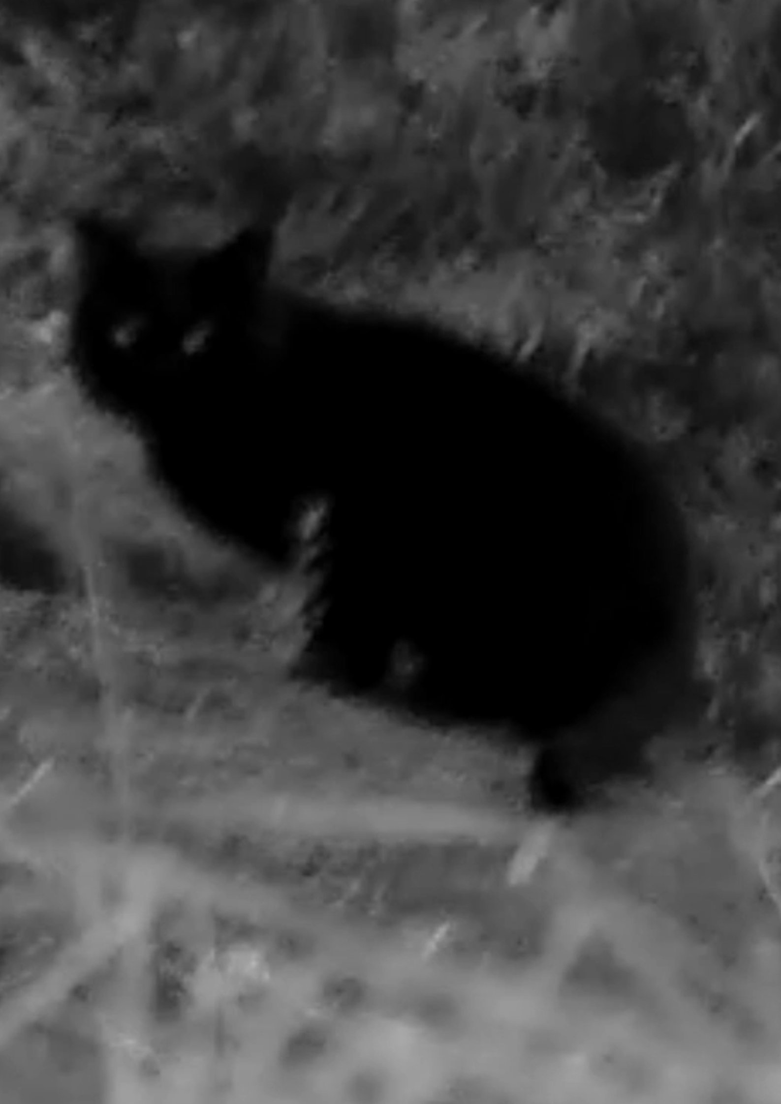 That's Not Me - Bild 1 von 6