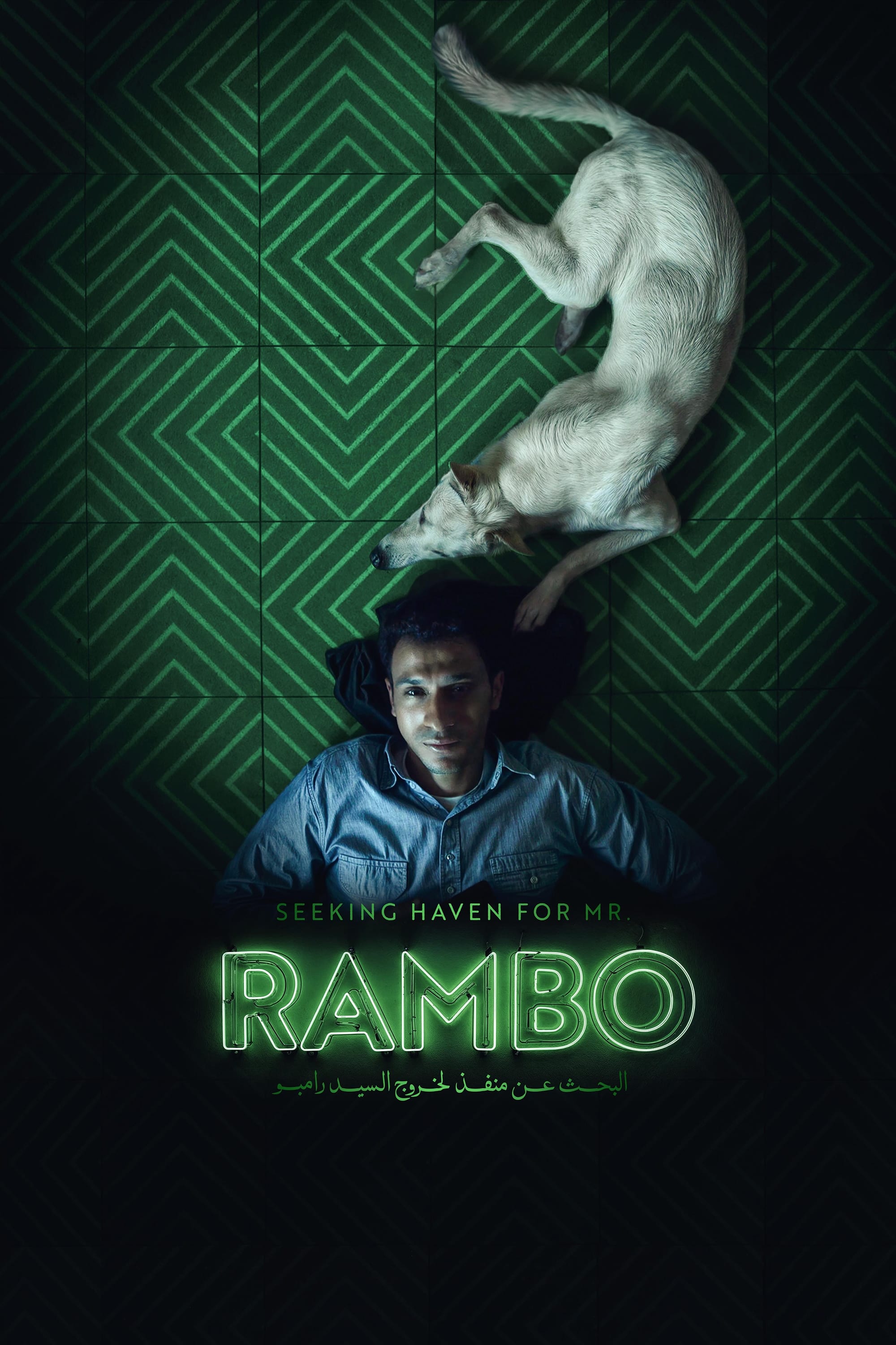 Seeking Haven for Mr. Rambo - Bild 1 von 7