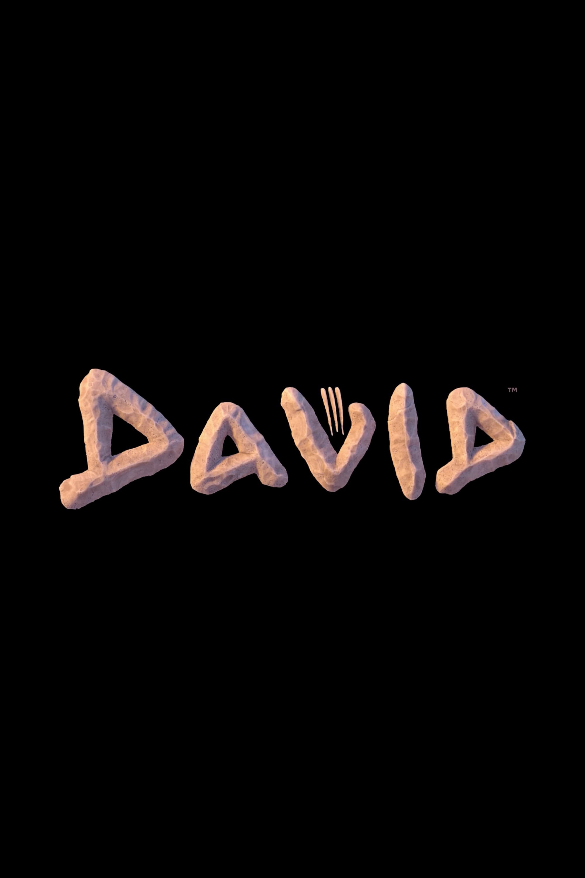 David - Bild 1 von 4