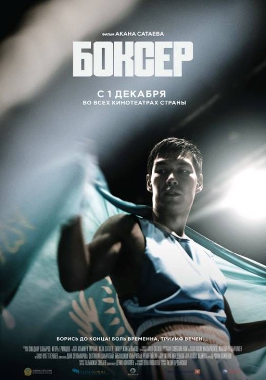 Boxer - Bild 1 von 2