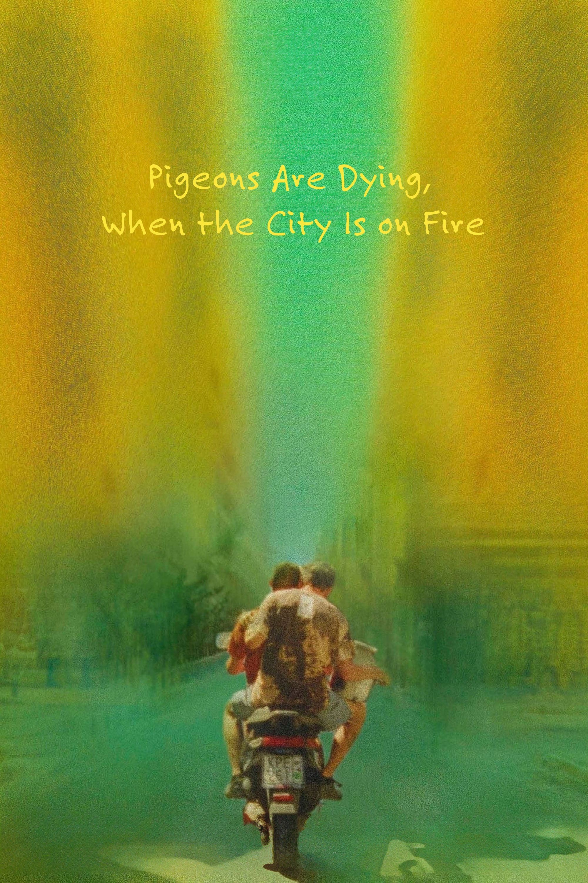 Pigeons Are Dying, When the City Is on Fire - Bild 1 von 6