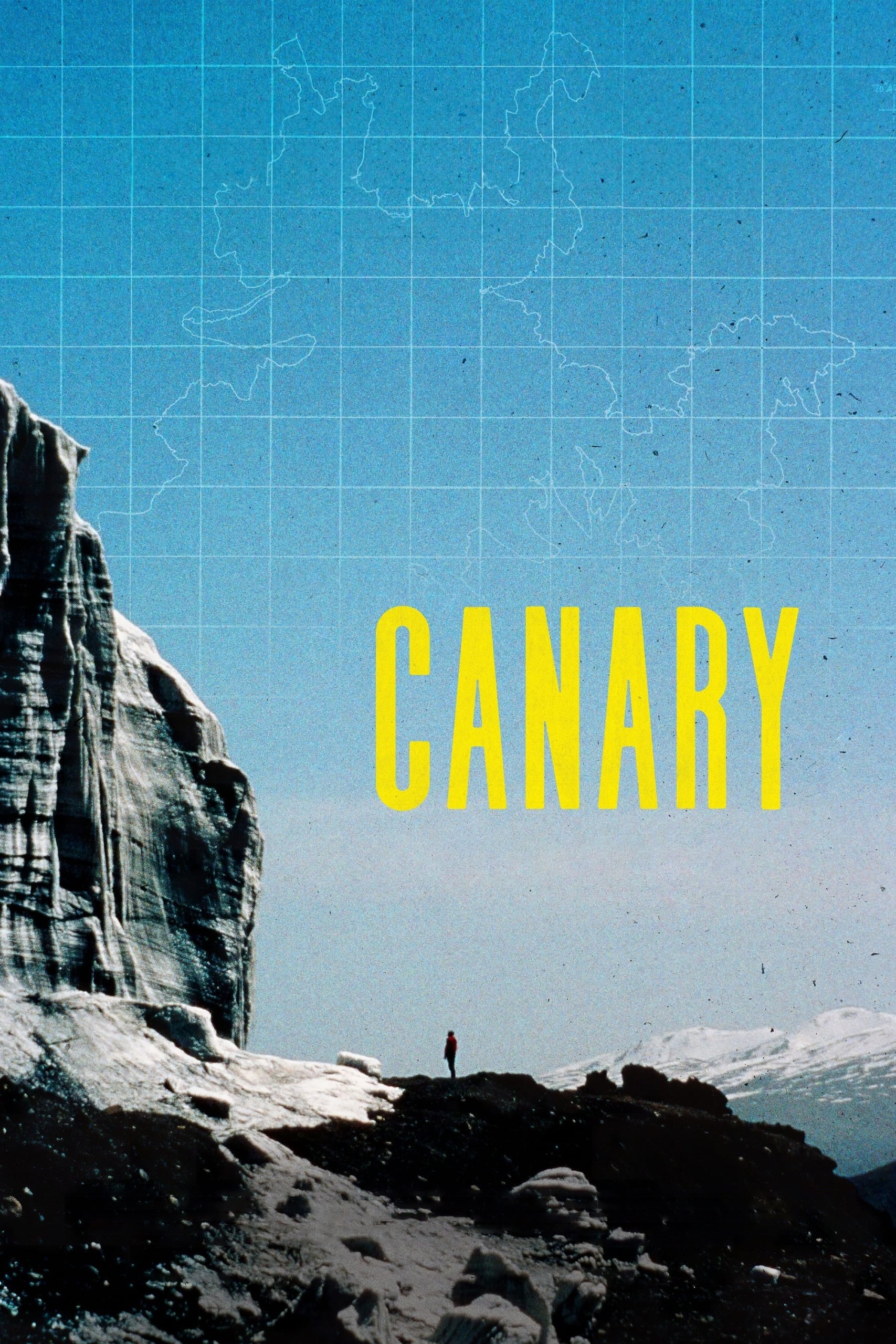 Canary - Bild 1 von 3