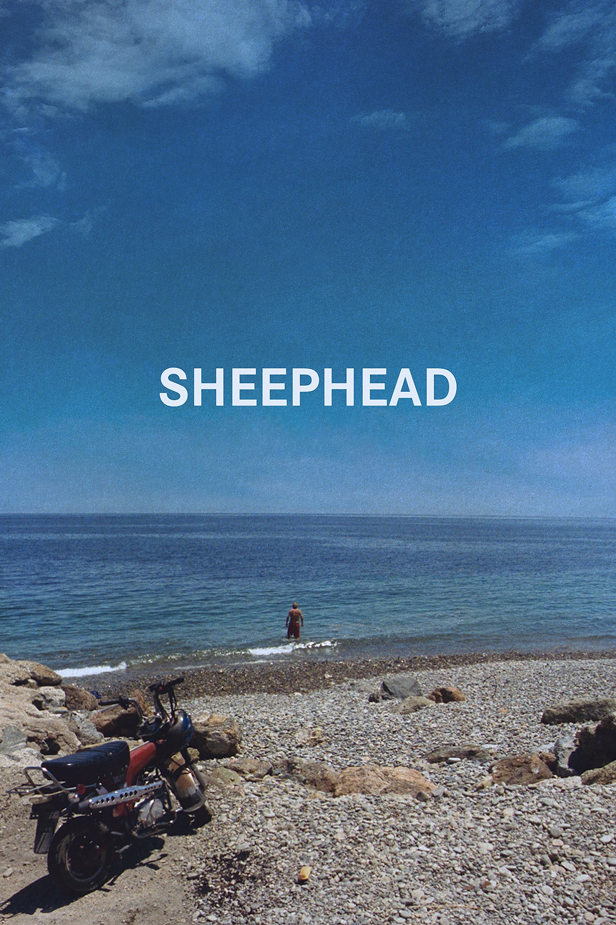 Sheephead - Bild 1 von 4