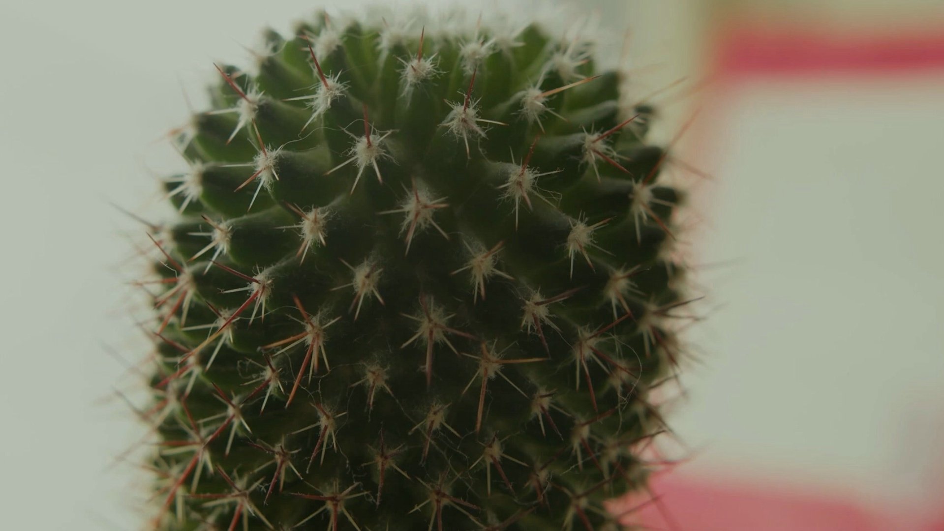 Thumbnail 2 von 4
