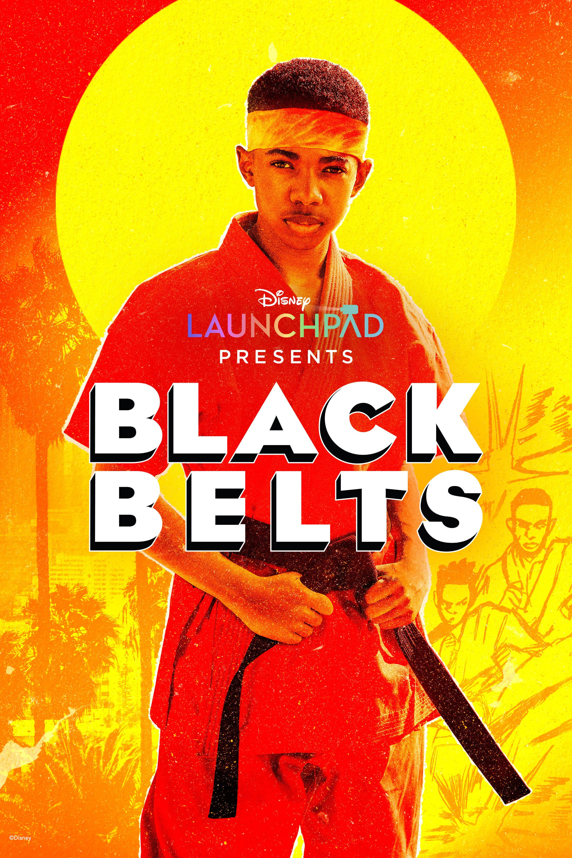 Black Belts - Bild 1 von 11