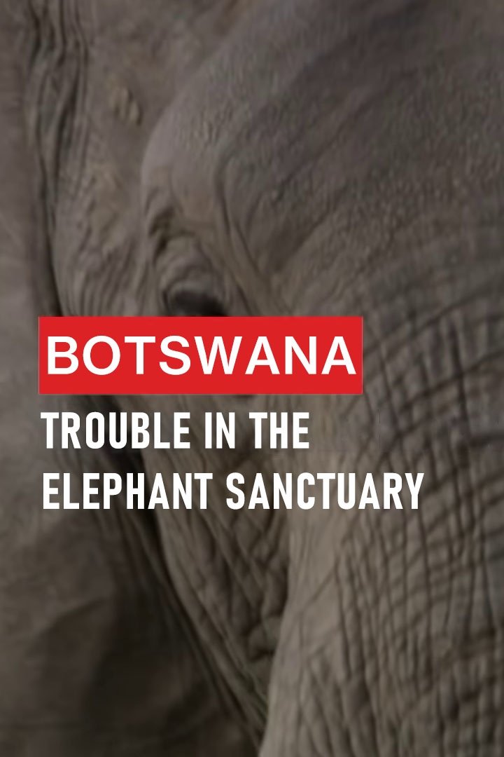 Botswana: Trouble in the Elephant Sanctuary - Bild 1 von 3
