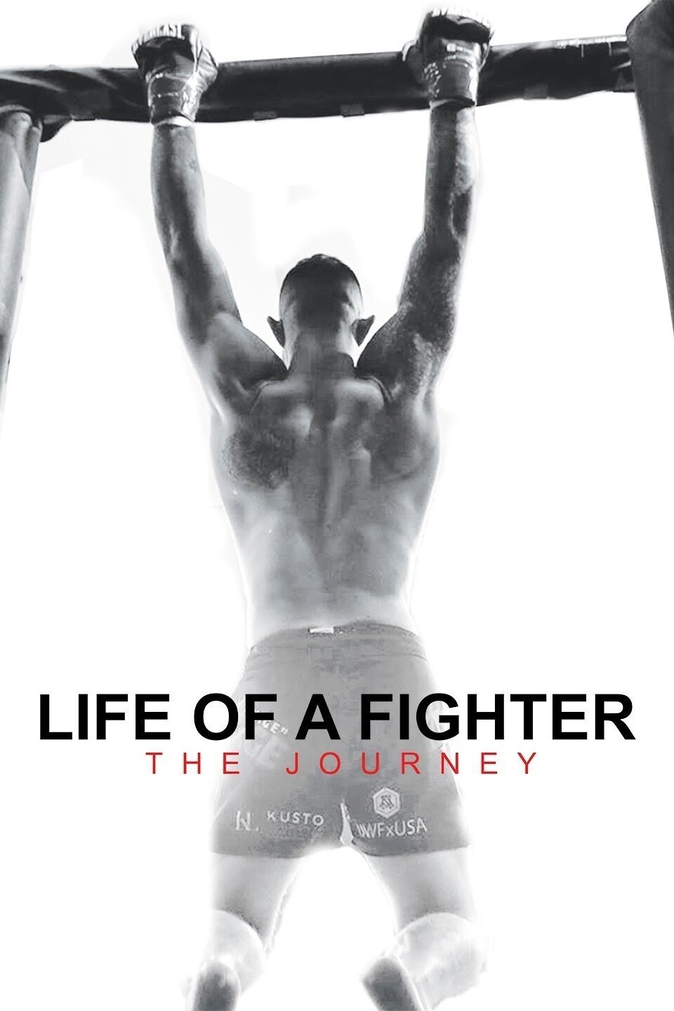 Life of a Fighter: The Journey - Bild 1 von 5